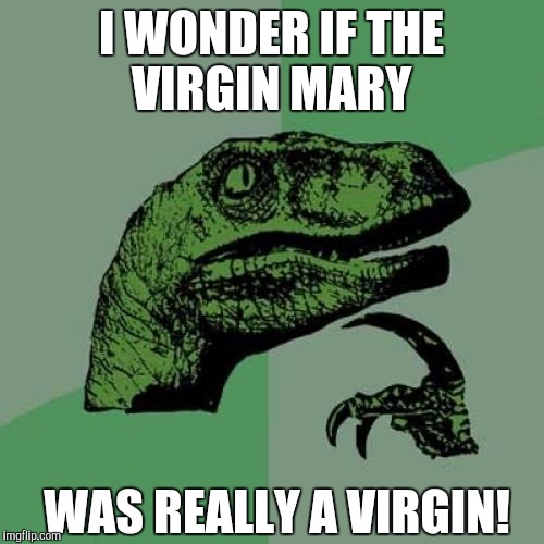 Philosoraptor | I WONDER IF THE VIRGIN MARY; WAS REALLY A VIRGIN! | image tagged in memes,philosoraptor | made w/ Imgflip meme maker