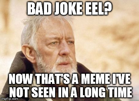 Obi-Wan | BAD JOKE EEL? NOW THAT'S A MEME I'VE NOT SEEN IN A LONG TIME | image tagged in obi-wan,memes | made w/ Imgflip meme maker