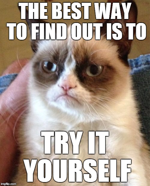 Grumpy Cat Meme | THE BEST WAY TO FIND OUT IS TO TRY IT YOURSELF | image tagged in memes,grumpy cat | made w/ Imgflip meme maker