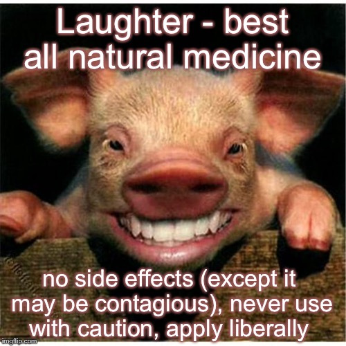 smiling piglet | Laughter - best all natural medicine; no side effects (except it may be contagious), never use with caution, apply liberally | image tagged in smiling piglet,humor,laughter,memes | made w/ Imgflip meme maker