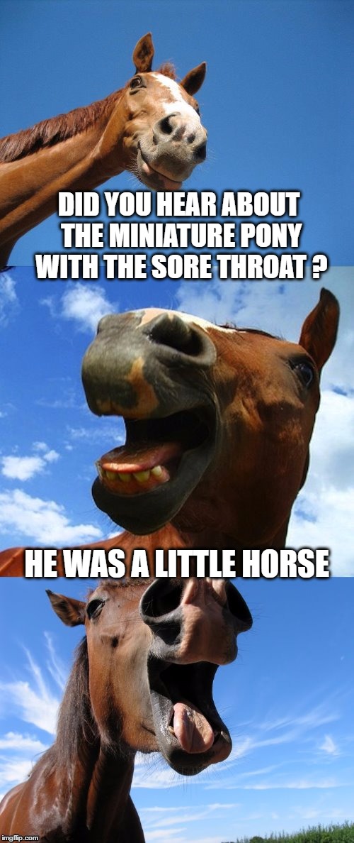 Sore Throat Pony | DID YOU HEAR ABOUT THE MINIATURE PONY WITH THE SORE THROAT ? HE WAS A LITTLE HORSE | image tagged in just horsing around,bad pun,memes,horse | made w/ Imgflip meme maker