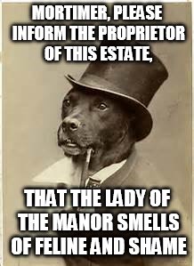 Dreadfully Shameful | MORTIMER, PLEASE INFORM THE PROPRIETOR OF THIS ESTATE, THAT THE LADY OF THE MANOR SMELLS OF FELINE AND SHAME | image tagged in old money dog | made w/ Imgflip meme maker