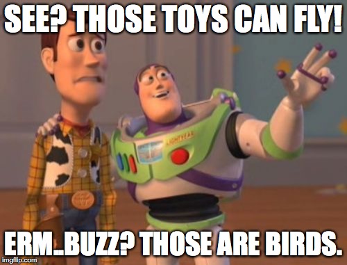X, X Everywhere | SEE? THOSE TOYS CAN FLY! ERM..BUZZ? THOSE ARE BIRDS. | image tagged in memes,x x everywhere | made w/ Imgflip meme maker