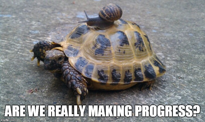 Snail riding turtle | ARE WE REALLY MAKING PROGRESS? | image tagged in snail riding turtle | made w/ Imgflip meme maker