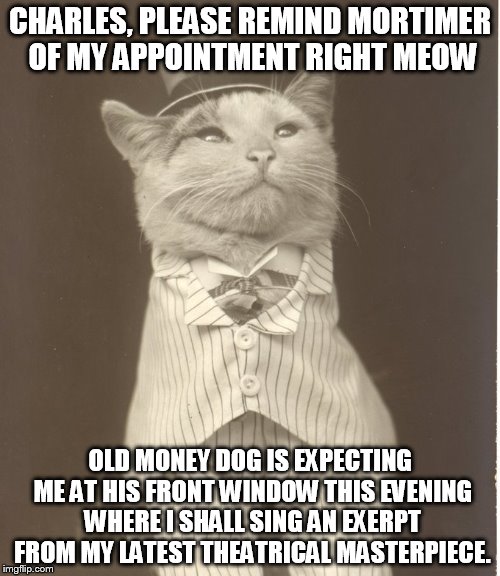 Aristocat | CHARLES, PLEASE REMIND MORTIMER OF MY APPOINTMENT RIGHT MEOW; OLD MONEY DOG IS EXPECTING ME AT HIS FRONT WINDOW THIS EVENING WHERE I SHALL SING AN EXERPT FROM MY LATEST THEATRICAL MASTERPIECE. | image tagged in aristocat | made w/ Imgflip meme maker