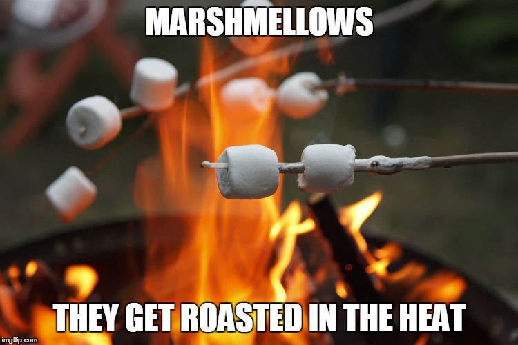 Roasting marshmellows | MARSHMELLOWS; THEY GET ROASTED IN THE HEAT | image tagged in roasting marshmellows | made w/ Imgflip meme maker