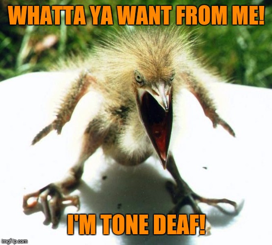 WHATTA YA WANT FROM ME! I'M TONE DEAF! | made w/ Imgflip meme maker