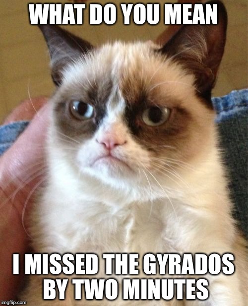 Grumpy Cat Meme | WHAT DO YOU MEAN; I MISSED THE GYRADOS BY TWO MINUTES | image tagged in memes,grumpy cat | made w/ Imgflip meme maker