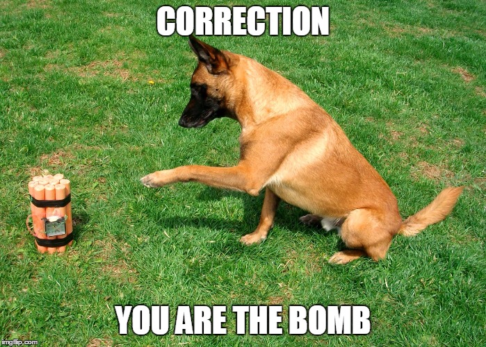The Bomb. | CORRECTION; YOU ARE THE BOMB | image tagged in the bomb | made w/ Imgflip meme maker