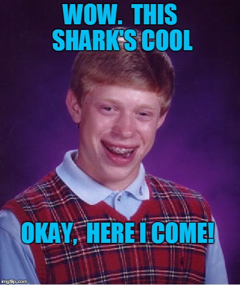 Bad Luck Brian Meme | WOW.  THIS SHARK'S COOL OKAY,  HERE I COME! | image tagged in memes,bad luck brian | made w/ Imgflip meme maker