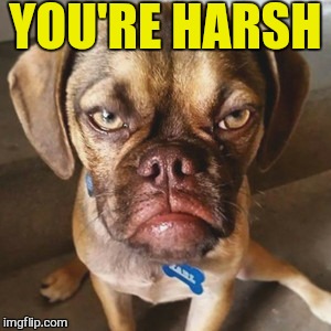 YOU'RE HARSH | made w/ Imgflip meme maker