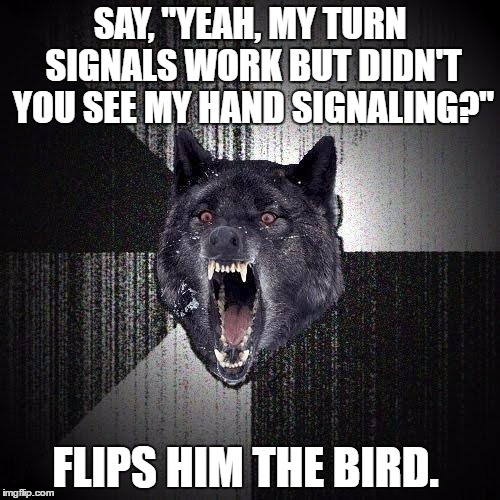 Insanity Wolf | SAY, "YEAH, MY TURN SIGNALS WORK BUT DIDN'T YOU SEE MY HAND SIGNALING?"; FLIPS HIM THE BIRD. | image tagged in memes,insanity wolf,AdviceAnimals | made w/ Imgflip meme maker