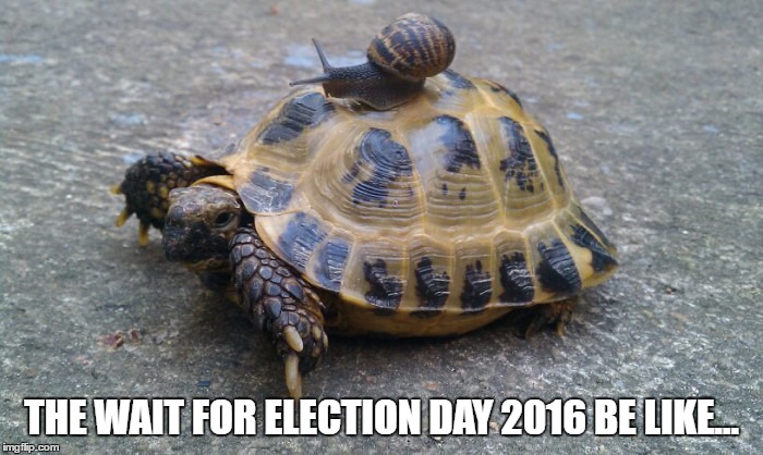 Snail riding turtle | THE WAIT FOR ELECTION DAY 2016 BE LIKE... | image tagged in snail riding turtle | made w/ Imgflip meme maker