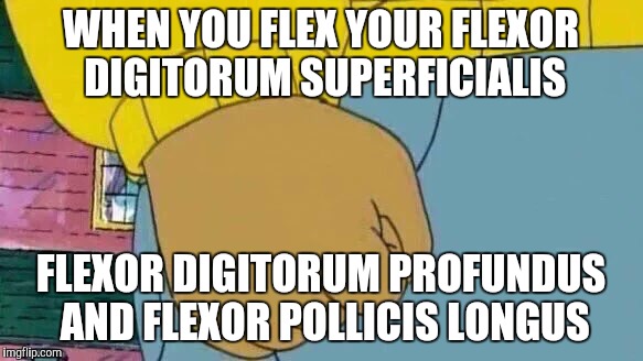 Arthur Fist Meme | WHEN YOU FLEX YOUR FLEXOR DIGITORUM SUPERFICIALIS; FLEXOR DIGITORUM PROFUNDUS AND FLEXOR POLLICIS LONGUS | image tagged in arthur fist | made w/ Imgflip meme maker