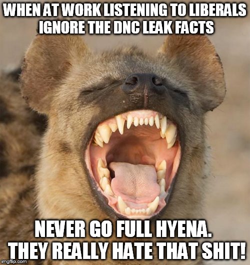 Never go Full Hyena | WHEN AT WORK LISTENING TO LIBERALS IGNORE THE DNC LEAK FACTS; NEVER GO FULL HYENA.  THEY REALLY HATE THAT SHIT! | image tagged in corruption,dnc,wikileaks,rigged,hillary,guccifer2 | made w/ Imgflip meme maker