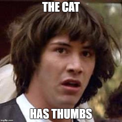 Conspiracy Keanu Meme | THE CAT; HAS THUMBS | image tagged in memes,conspiracy keanu | made w/ Imgflip meme maker
