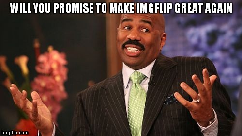 WILL YOU PROMISE TO MAKE IMGFLIP GREAT AGAIN | image tagged in memes,steve harvey | made w/ Imgflip meme maker
