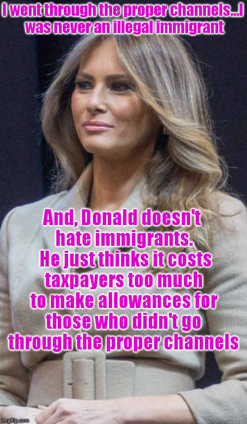 I went through the proper channels...I was never an illegal immigrant And, Donald doesn't hate immigrants.  He just thinks it costs taxpayer | made w/ Imgflip meme maker