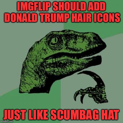 Please make this a thing |  IMGFLIP SHOULD ADD DONALD TRUMP HAIR ICONS; JUST LIKE SCUMBAG HAT | image tagged in memes,philosoraptor | made w/ Imgflip meme maker