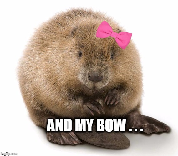 AND MY BOW . . . | made w/ Imgflip meme maker