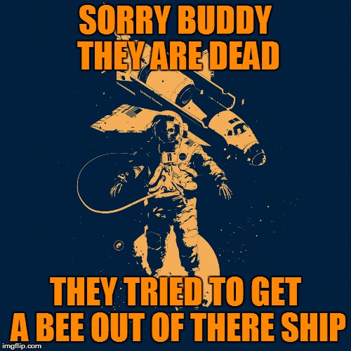 SORRY BUDDY THEY ARE DEAD THEY TRIED TO GET A BEE OUT OF THERE SHIP | made w/ Imgflip meme maker