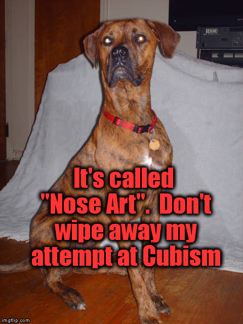 It's called "Nose Art".  Don't wipe away my attempt at Cubism | made w/ Imgflip meme maker