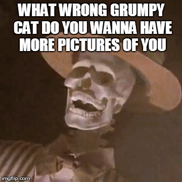 WHAT WRONG GRUMPY CAT DO YOU WANNA HAVE MORE PICTURES OF YOU | made w/ Imgflip meme maker