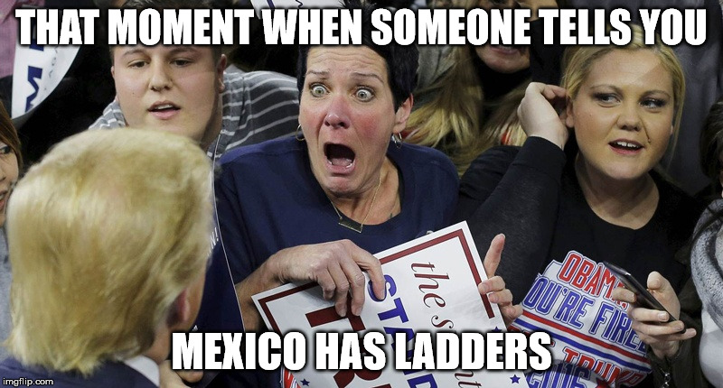 Shocked Trump Lady | THAT MOMENT WHEN SOMEONE TELLS YOU; MEXICO HAS LADDERS | image tagged in shocked trump lady | made w/ Imgflip meme maker