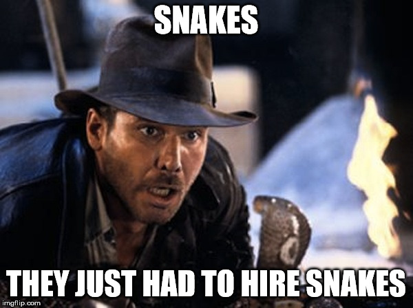 SNAKES THEY JUST HAD TO HIRE SNAKES | image tagged in indiana jones,it had to be snakes | made w/ Imgflip meme maker