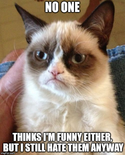 Grumpy Cat Meme | NO ONE THINKS I'M FUNNY EITHER, BUT I STILL HATE THEM ANYWAY | image tagged in memes,grumpy cat | made w/ Imgflip meme maker