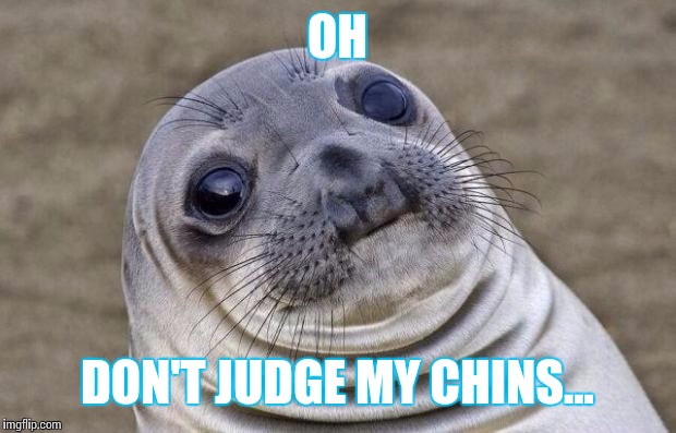 Awkward Moment Sealion Meme | OH; DON'T JUDGE MY CHINS... | image tagged in memes,awkward moment sealion | made w/ Imgflip meme maker
