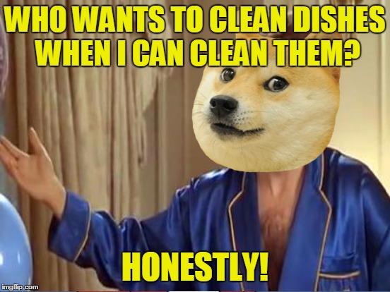 WHO WANTS TO CLEAN DISHES WHEN I CAN CLEAN THEM? HONESTLY! | made w/ Imgflip meme maker