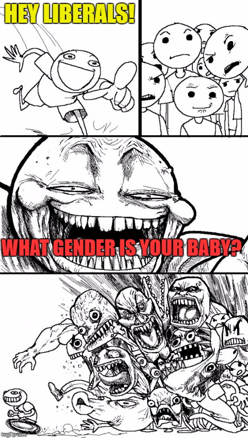 I mean, there's really only two choices, and it's usually quite obvious | HEY LIBERALS! WHAT GENDER IS YOUR BABY? | image tagged in memes,hey internet,hey liberals,wow u stuuped,2genders,how do you think zoos determine how to breed an animal | made w/ Imgflip meme maker