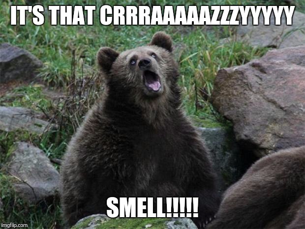 Sarcastic Bear | IT'S THAT CRRRAAAAAZZZYYYYY; SMELL!!!!! | image tagged in sarcastic bear | made w/ Imgflip meme maker