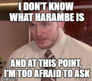 Andy Dwyer | I DON'T KNOW WHAT HARAMBE IS; AND AT THIS POINT, I'M TOO AFRAID TO ASK | image tagged in andy dwyer | made w/ Imgflip meme maker