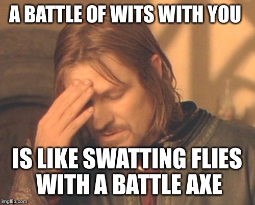 Frustrated Boromir Meme | A BATTLE OF WITS WITH YOU; IS LIKE SWATTING FLIES WITH A BATTLE AXE | image tagged in memes,frustrated boromir | made w/ Imgflip meme maker