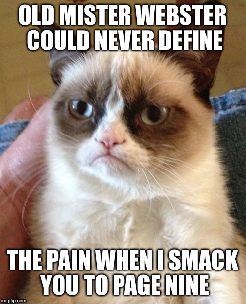 Grumpy Cat Meme | OLD MISTER WEBSTER COULD NEVER DEFINE THE PAIN WHEN I SMACK YOU TO PAGE NINE | image tagged in memes,grumpy cat | made w/ Imgflip meme maker