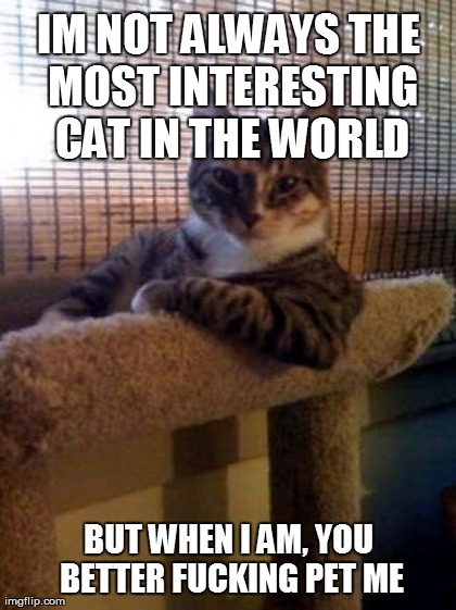 The Most Interesting Cat In The World Meme | image tagged in memes,the most interesting cat in the world | made w/ Imgflip meme maker