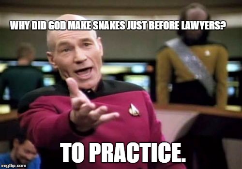 Picard Wtf Meme | WHY DID GOD MAKE SNAKES JUST BEFORE LAWYERS? TO PRACTICE. | image tagged in memes,picard wtf | made w/ Imgflip meme maker