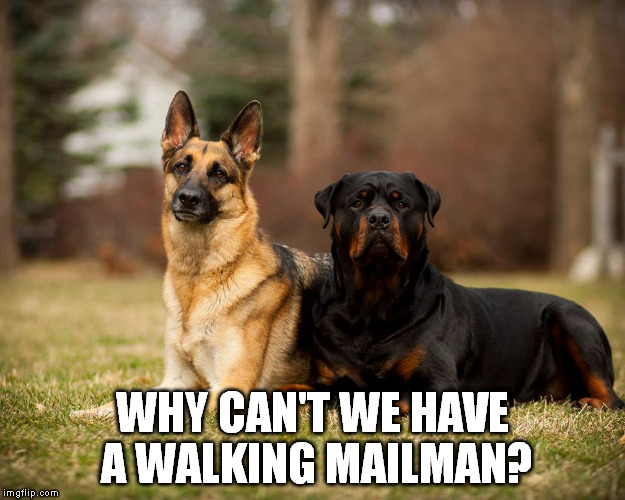 WHY CAN'T WE HAVE A WALKING MAILMAN? | made w/ Imgflip meme maker