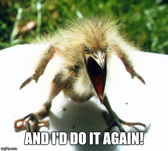 AND I'D DO IT AGAIN! | made w/ Imgflip meme maker