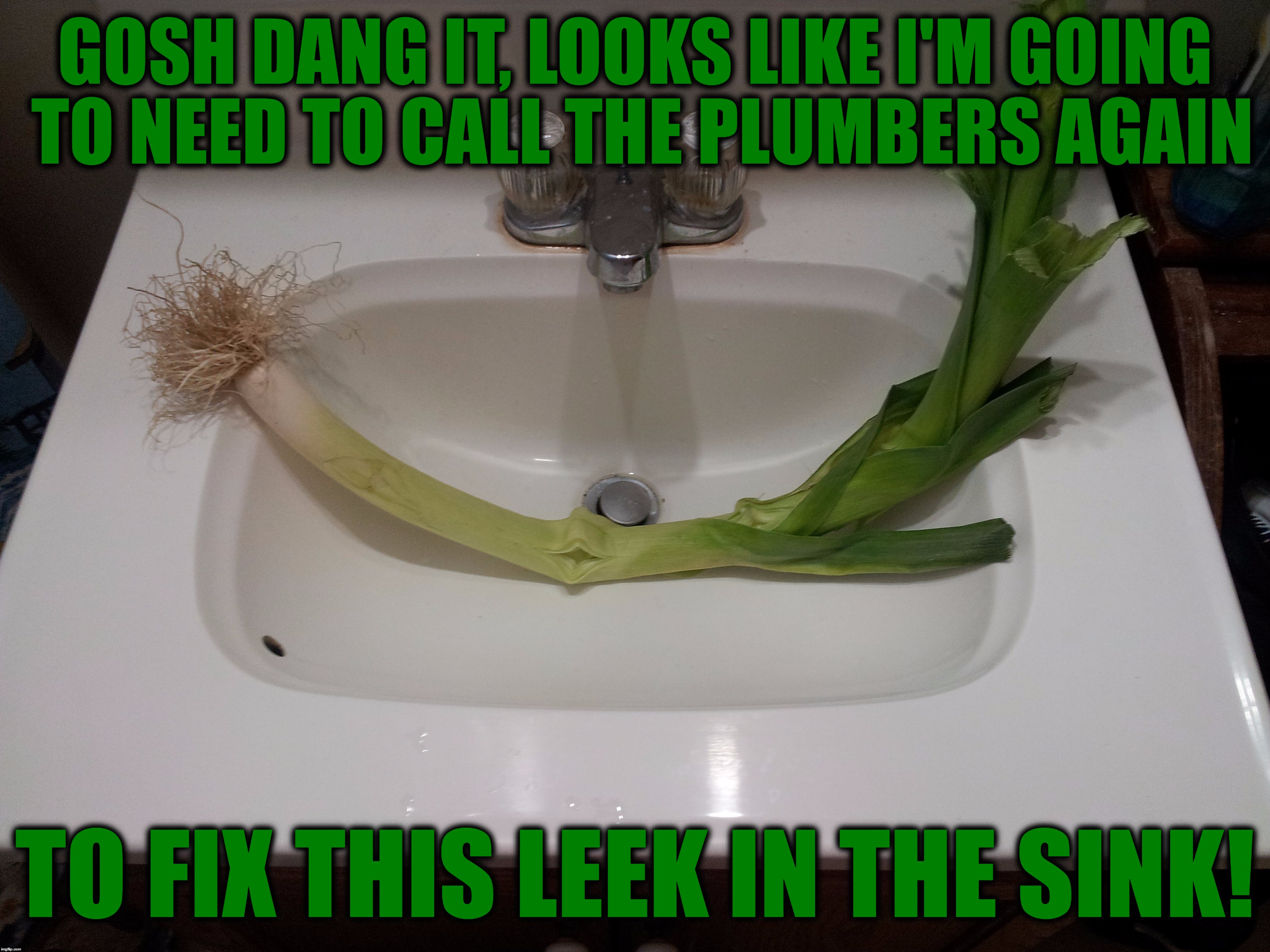 I'd Like To Thank hokeewolf For The Idea | GOSH DANG IT, LOOKS LIKE I'M GOING TO NEED TO CALL THE PLUMBERS AGAIN; TO FIX THIS LEEK IN THE SINK! | image tagged in memes,funny,leek,plumber problems,sink,bathroom | made w/ Imgflip meme maker