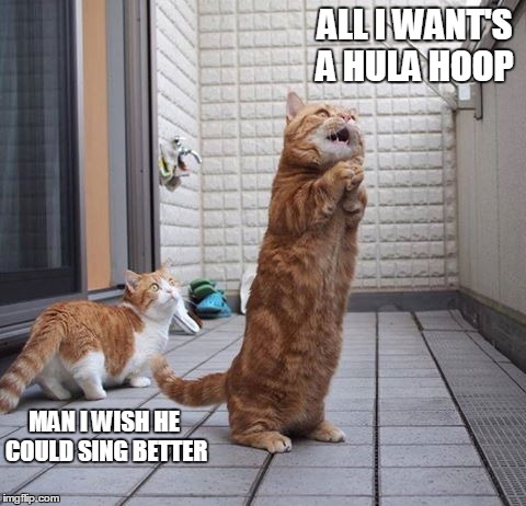 ALL I WANT'S A HULA HOOP; MAN I WISH HE COULD SING BETTER | image tagged in memes,funny,cat,funny cat memes,cat memes,hula hoop | made w/ Imgflip meme maker