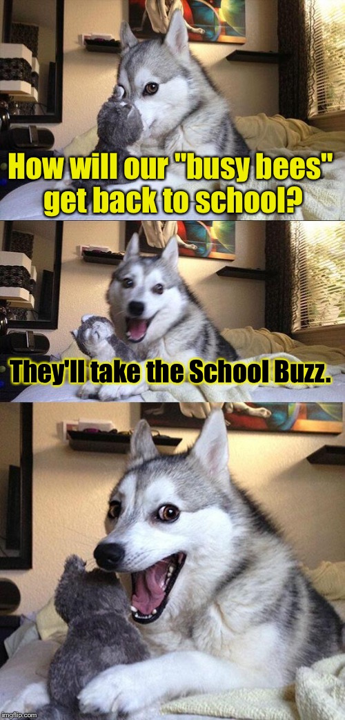 ....and We Did Our School Shopping For 'Em Weeks Ago.... | How will our "busy bees" get back to school? They'll take the School Buzz. | image tagged in memes,bad pun dog | made w/ Imgflip meme maker