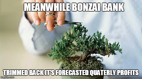 MEANWHILE BONZAI BANK TRIMMED BACK IT'S FORECASTED QUATERLY PROFITS | made w/ Imgflip meme maker