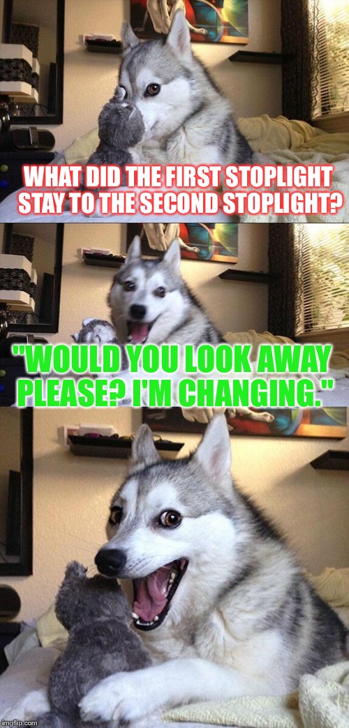 Bad Pun Dog | WHAT DID THE FIRST STOPLIGHT STAY TO THE SECOND STOPLIGHT? "WOULD YOU LOOK AWAY PLEASE? I'M CHANGING." | image tagged in memes,bad pun dog | made w/ Imgflip meme maker