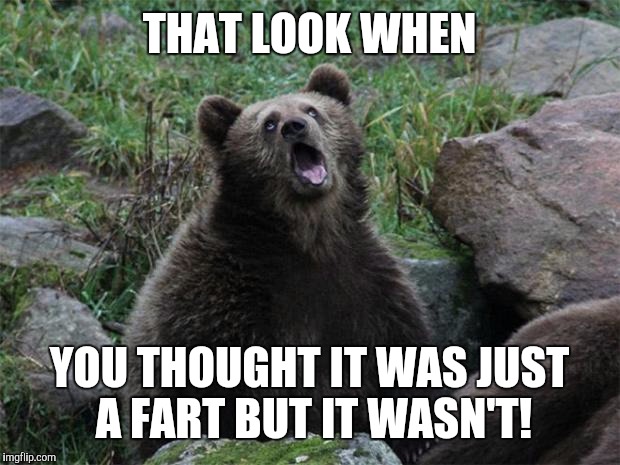 After age 50, never trust a fart! | THAT LOOK WHEN; YOU THOUGHT IT WAS JUST A FART BUT IT WASN'T! | image tagged in meme,funny,bear,fart,not fart | made w/ Imgflip meme maker