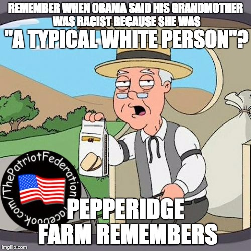 Pepperidge Farm Remembers | REMEMBER WHEN OBAMA SAID HIS GRANDMOTHER WAS RACIST BECAUSE SHE WAS; "A TYPICAL WHITE PERSON"? PEPPERIDGE FARM REMEMBERS | image tagged in memes,pepperidge farm remembers | made w/ Imgflip meme maker