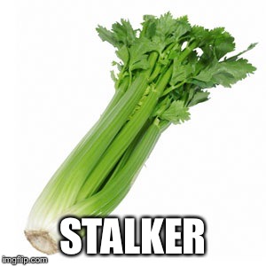 STALKER | made w/ Imgflip meme maker