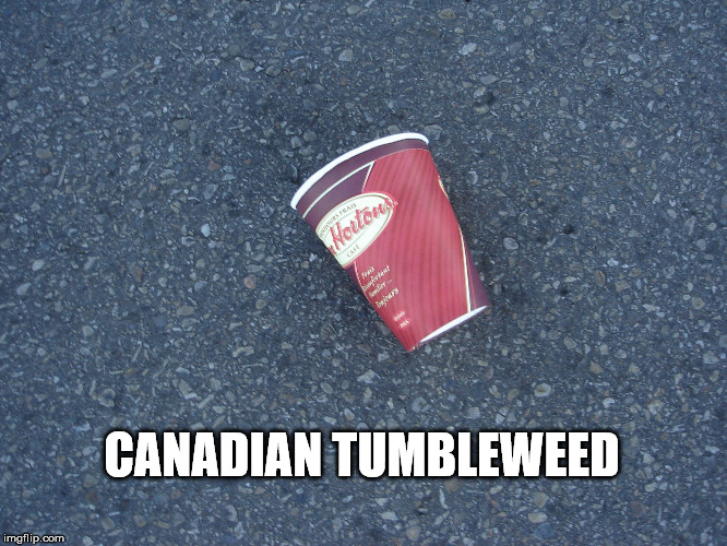 Blowing down the roads and highway all the time | CANADIAN TUMBLEWEED | image tagged in funny,canada,meanwhile in canada,coffee | made w/ Imgflip meme maker